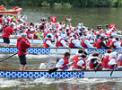 Drachenboot Teambuilding und Trainings [3/8]